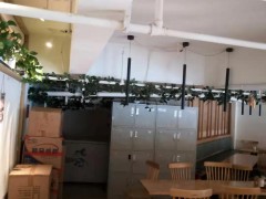 人体被跳蚤咬伤了怎么办?类如何杀死?