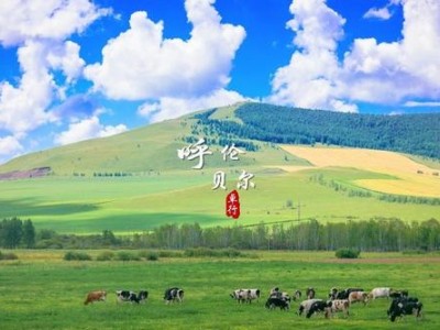 呼伦贝尔旅游包车价格,呼伦贝尔旅游包车多少钱