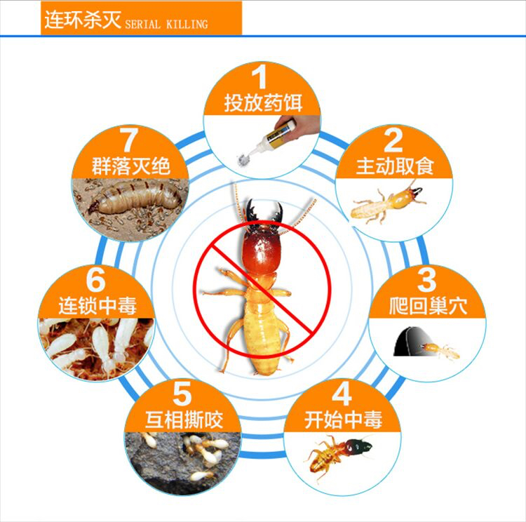 白蚁的危害主要有哪些？邵阳灭白蚁的方法是怎样的？