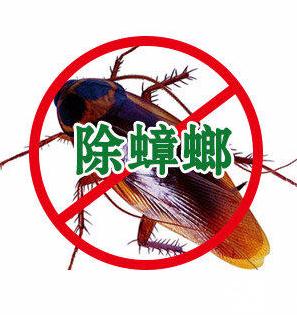 邵阳灭蟑螂的方法主要有哪些？