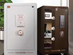 仪征防盗门换什么锁芯安全