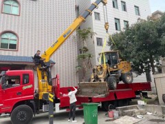 青口镇吊车出租厂家专业为您提供优质服务
