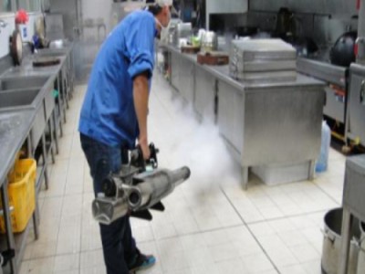 宁波杀虫公司工厂杀虫方案有哪些