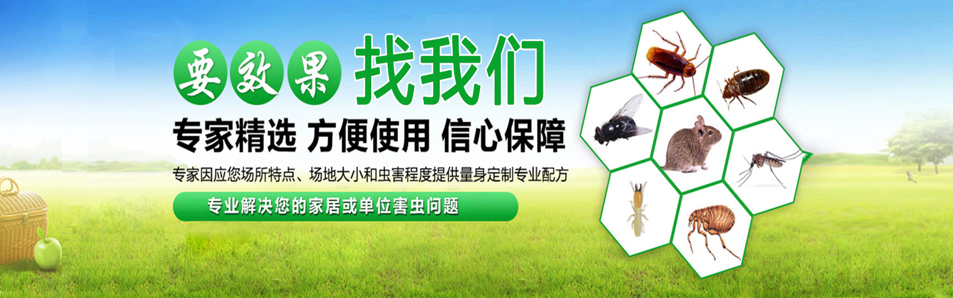 宁波白蚁防治中心