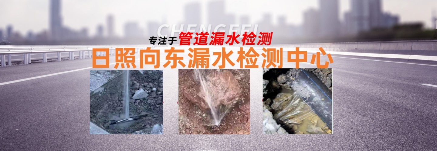 日照向东漏水检测中心