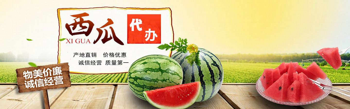 向一新疆西瓜代发