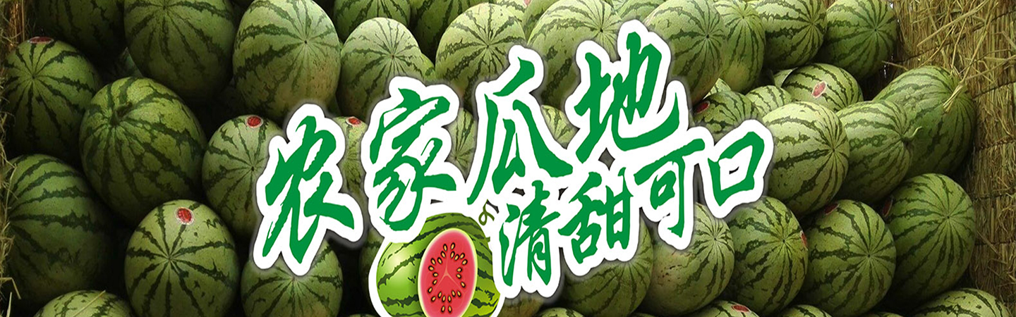 向一新疆西瓜代发