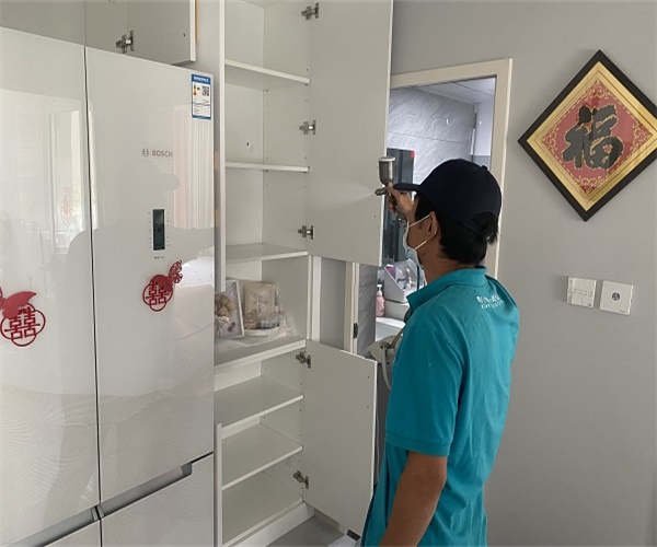 平乡县专业检测治理甲醛公司