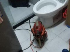 厕所冲洗力不够，是否需要找专门的人员来清除尿碱？