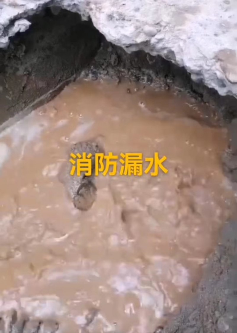 微信图片_20230629172432