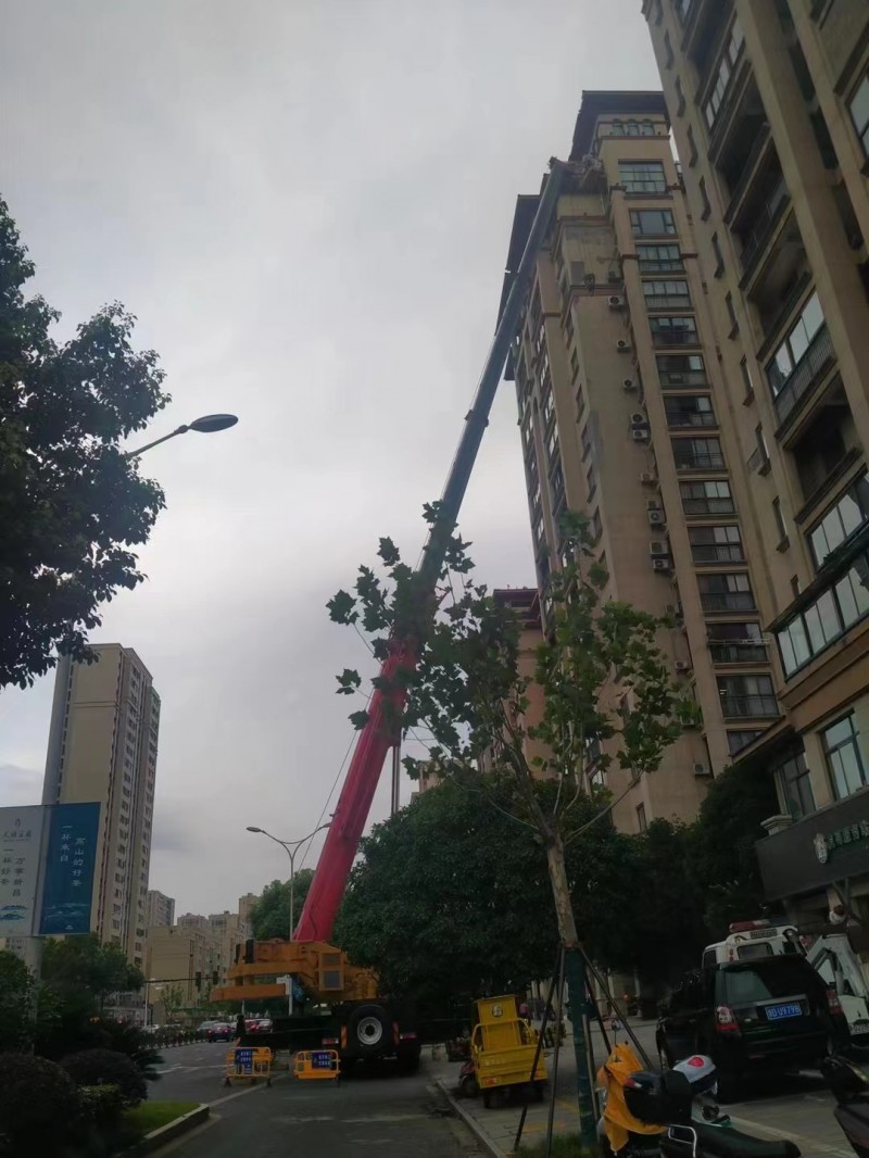 微信图片_20230810150233