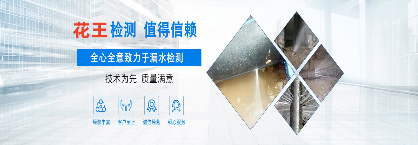 运城花王测漏团队