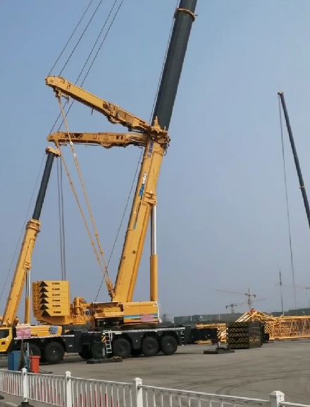 微信截图_20231225183546