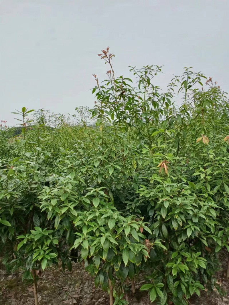 微信图片_20231012163043