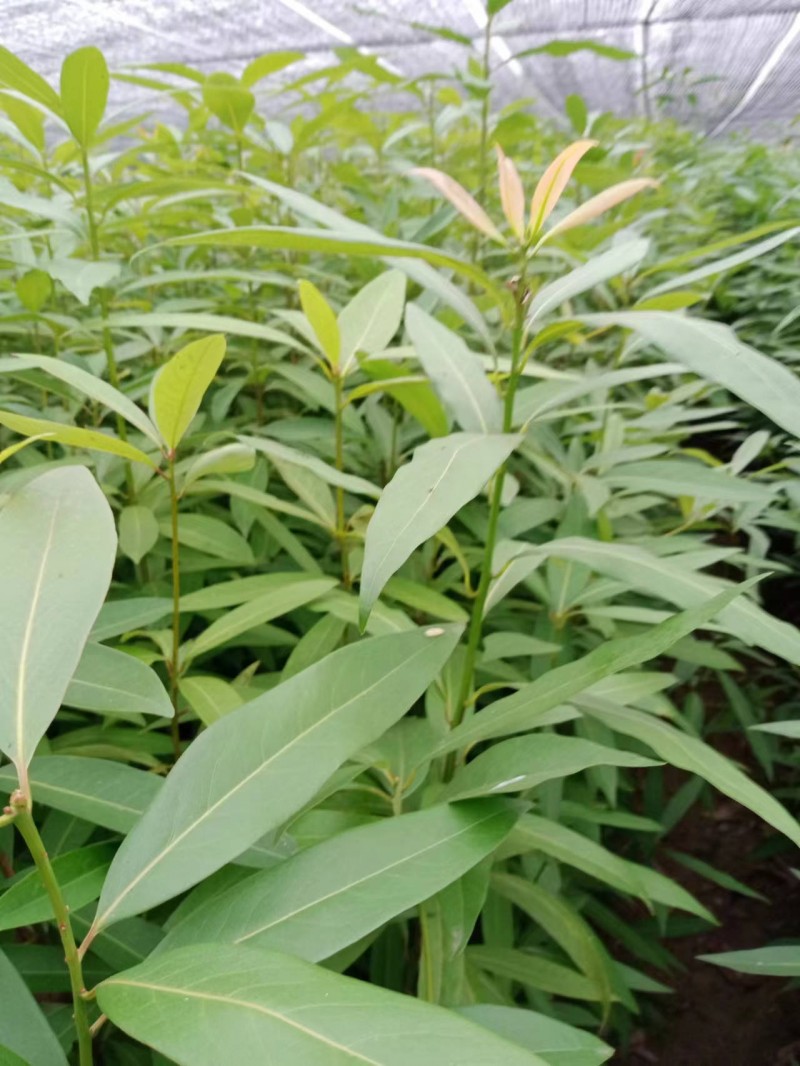 微信图片_202310121601161