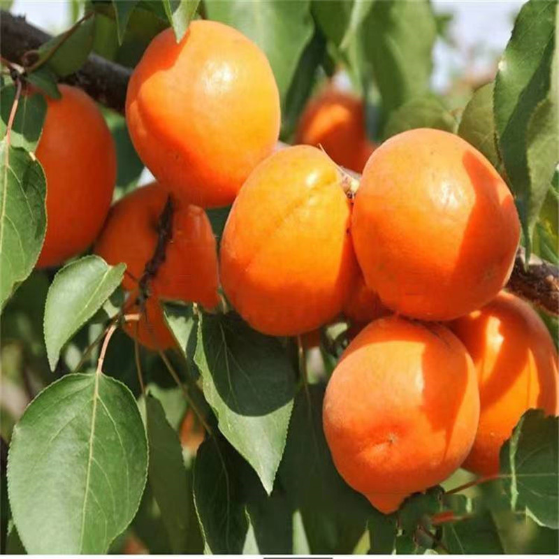 微信图片_202303121533451