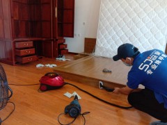 自贡办公室甲醛治理-巢湖办公室甲醛检测