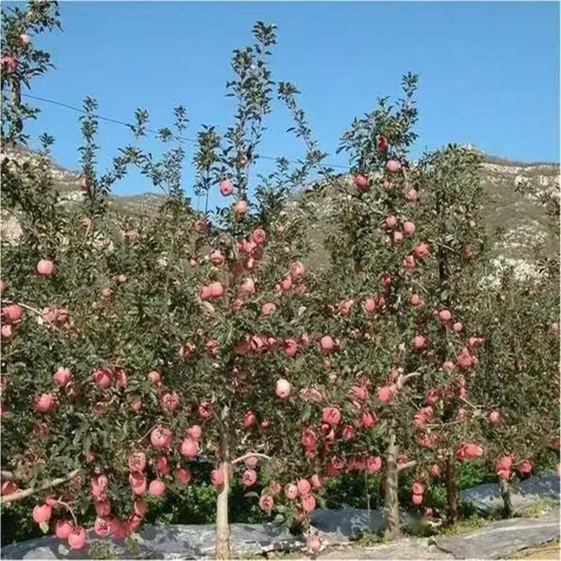 微信图片_20220907092323