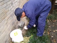 淮北灭蟑螂公司蟑螂防治方法