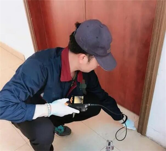 宁波灭老鼠冬季防止老鼠进入室内的预防措施