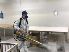 宁波灭蟑螂公司浅谈蟑螂如何进入室内的