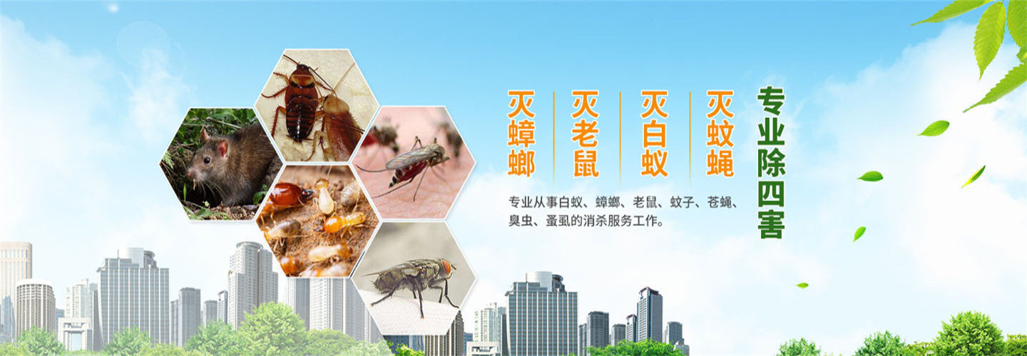 温州清波灭鼠杀虫公司