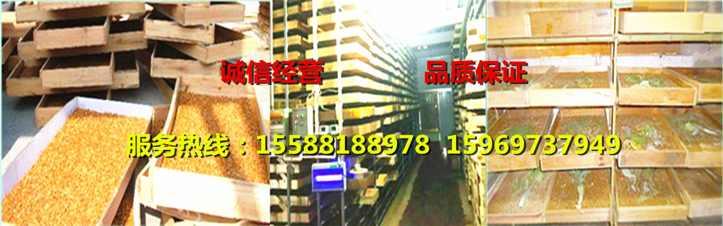 山东罗庄区虰虹黄粉虫养殖专业合作社