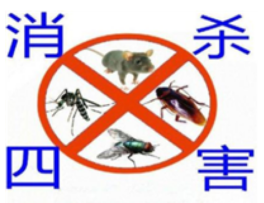 蕲春除四害公司总结的防治蚊子的措施有哪些？