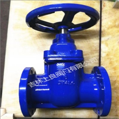 球墨铸铁闸阀Z45T-16Q