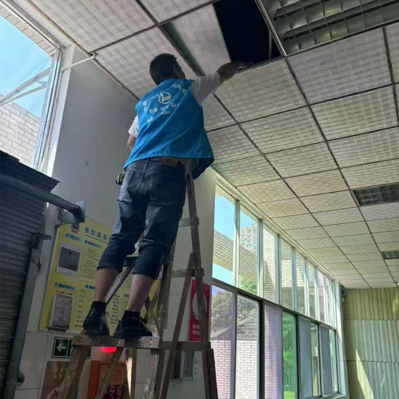 资阳杀虫公司师傅告诉你如何有效防治害虫