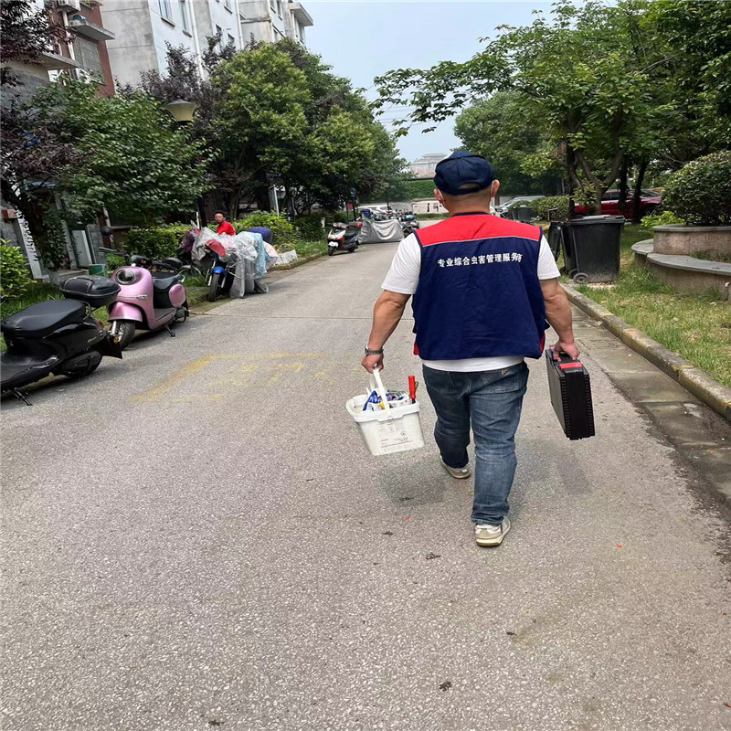 打造无四害环境，有效策略与实用建议