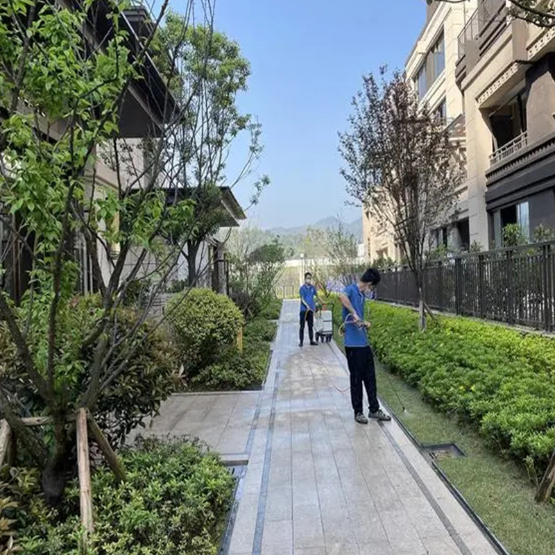 湖州消杀公司教您蚊虫消杀防治方法