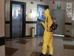 湖州灭白蚁公司教您家庭白蚁防治小妙招