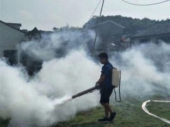 湖州灭白蚁公司教您家庭白蚁防治小妙招