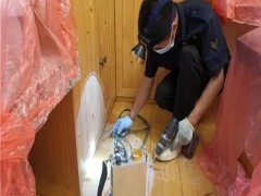 湖州灭白蚁公司教您家庭白蚁防治小妙招