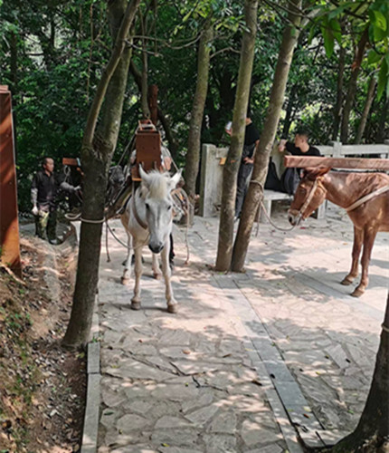 广东马帮搬运公司
