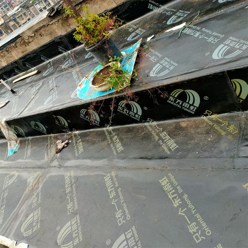 楼房漏水如何施工，解决方案与步骤指南