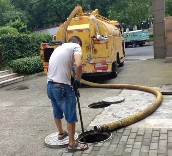 微信截图_20241113080458