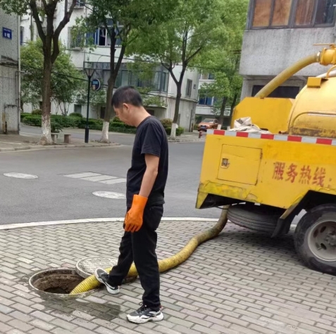 微信截图_20241113080646