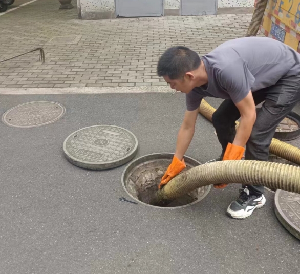 微信截图_20241113080833