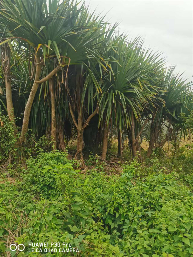 微信图片_20241019222518