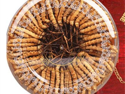 冬虫夏草，神奇的滋补圣品