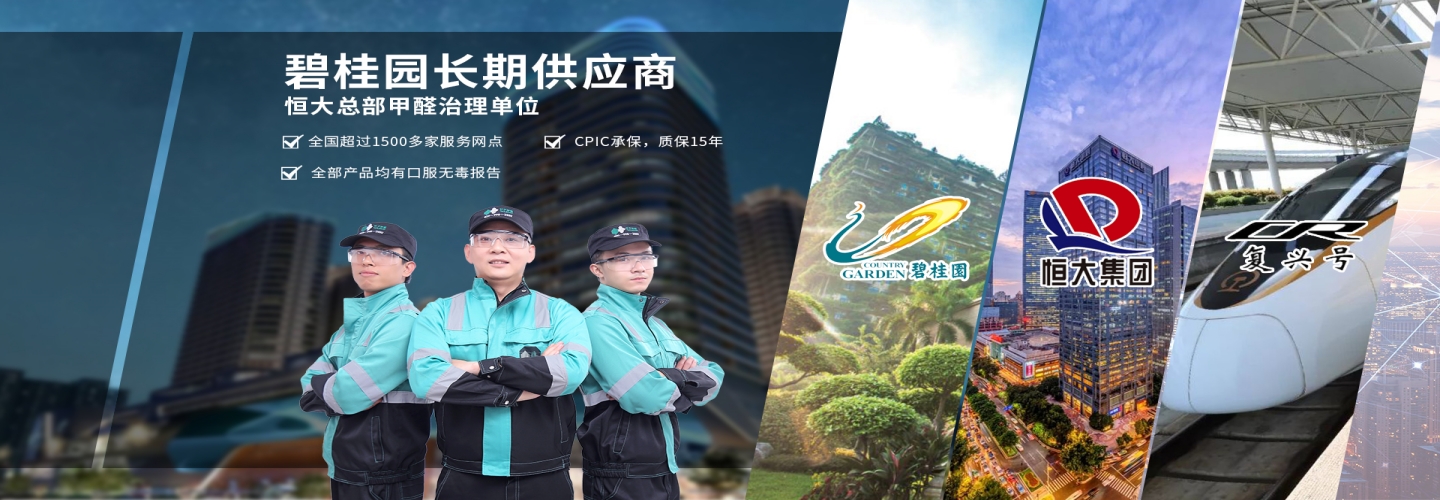 武汉汉阳区叶子环保除甲醛公司