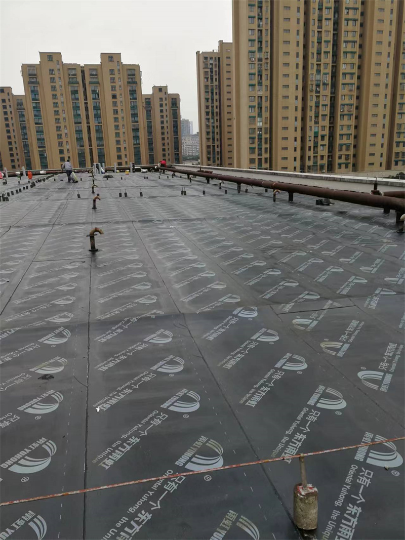 重庆屋面防水，守护家园，共筑干燥舒适生活