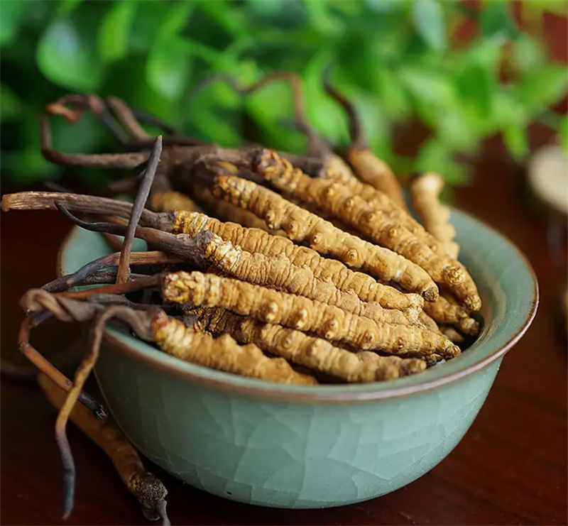 如何正确保存虫草，一份详尽的指南