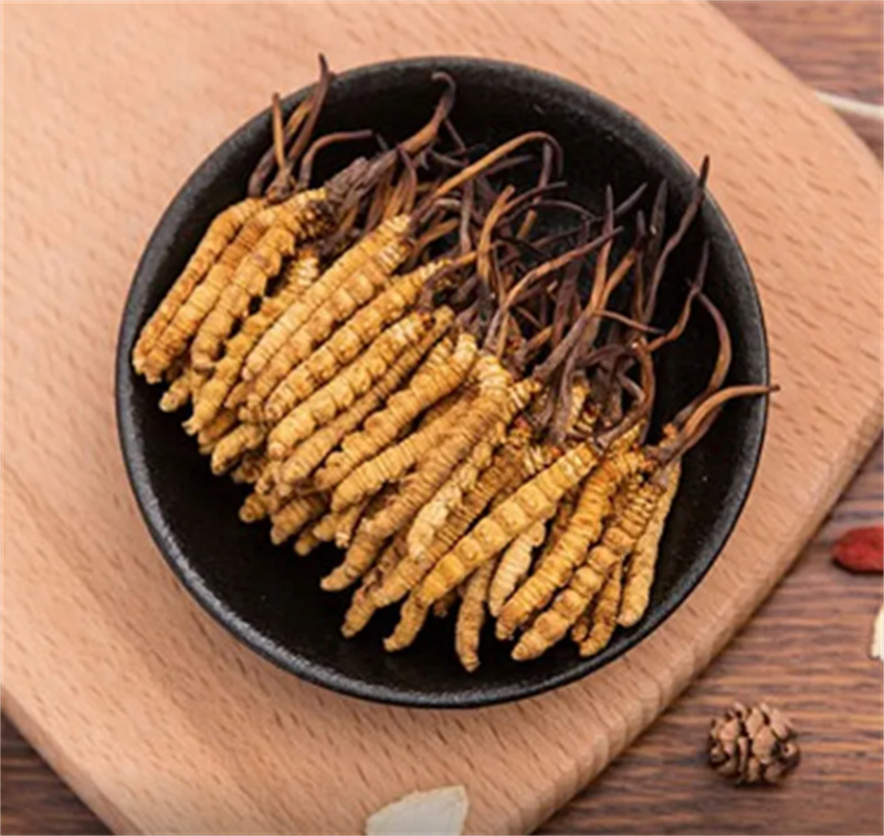 新都冬虫夏草回收，安全保存指南