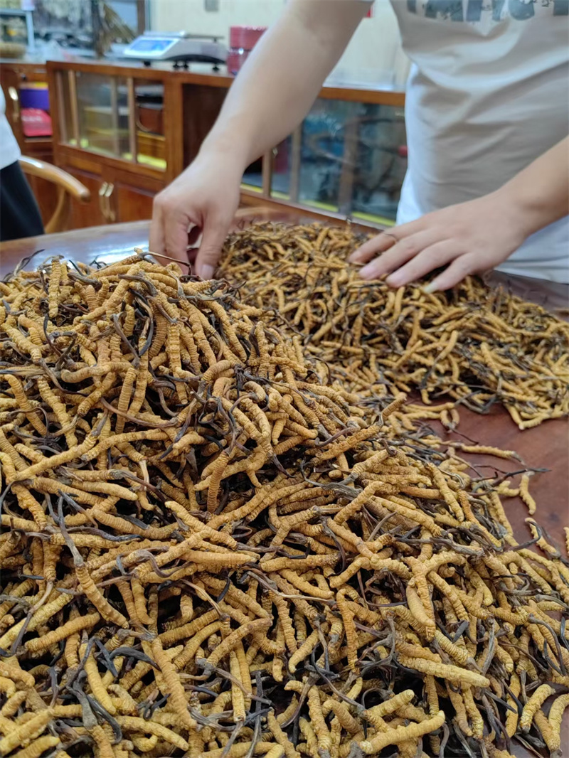 成都回收虫草的地方指南