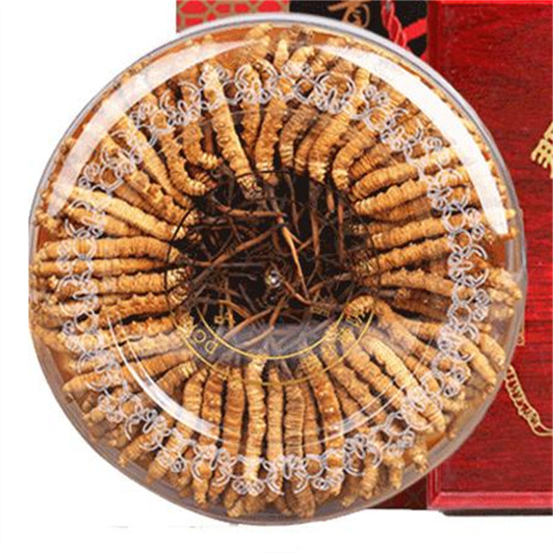 新津虫草回收公司，您身边的健康与品质守护者