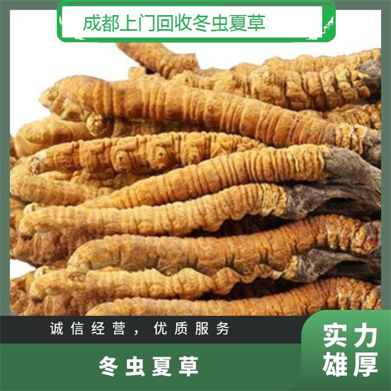 德阳虫草回收厂家，您身边的冬虫夏草处理专家