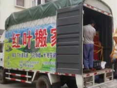 专业铸就口碑：探秘罗平本地老牌搬家公司的成长之路！